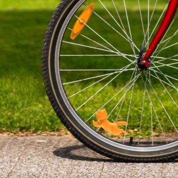 Petit chat pour vélo